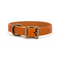 The Classic Leather Dog Collar & Leash Set