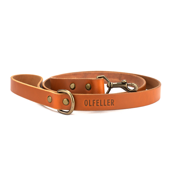 The Classic Leather Dog Leash Honey