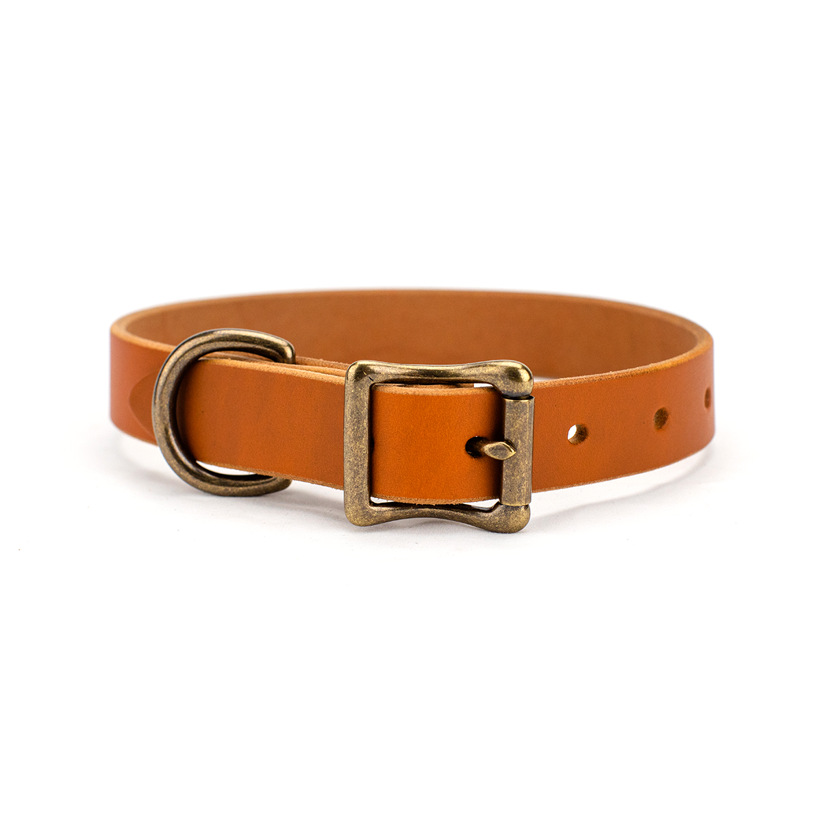 The Classic Leather Dog Collar Honey